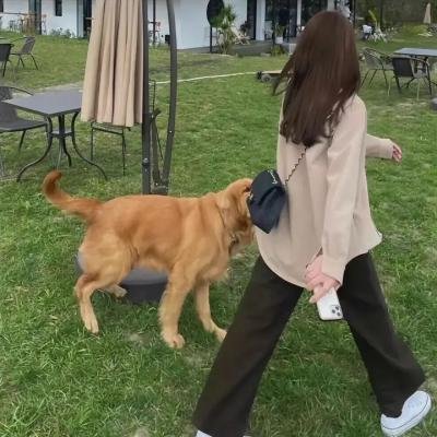 毒镇
